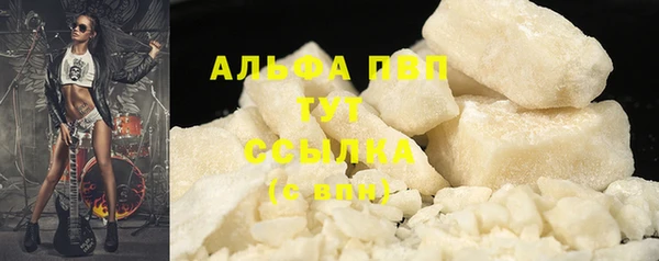 PSILOCYBIN Щучье