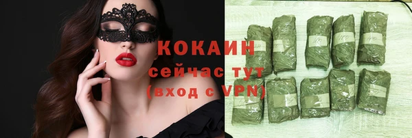 стаф Магас