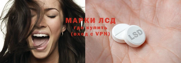 стаф Магас