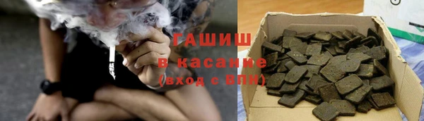 стаф Магас