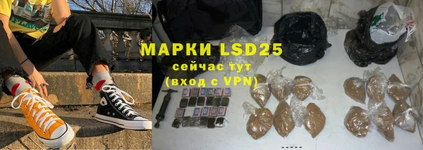 дмт Щигры