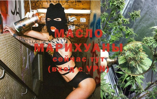 стаф Магас