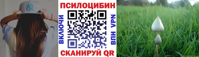 Псилоцибиновые грибы мицелий  блэк спрут зеркало  Зверево 