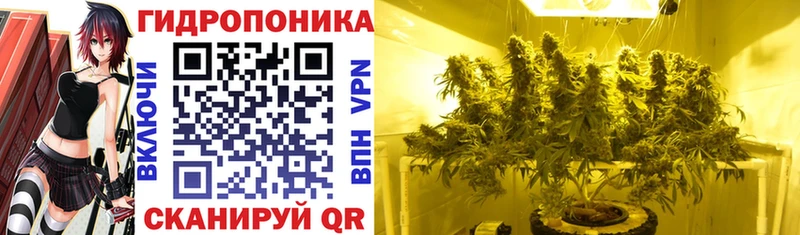 купить наркотики цена  Зверево  Бошки марихуана индика 